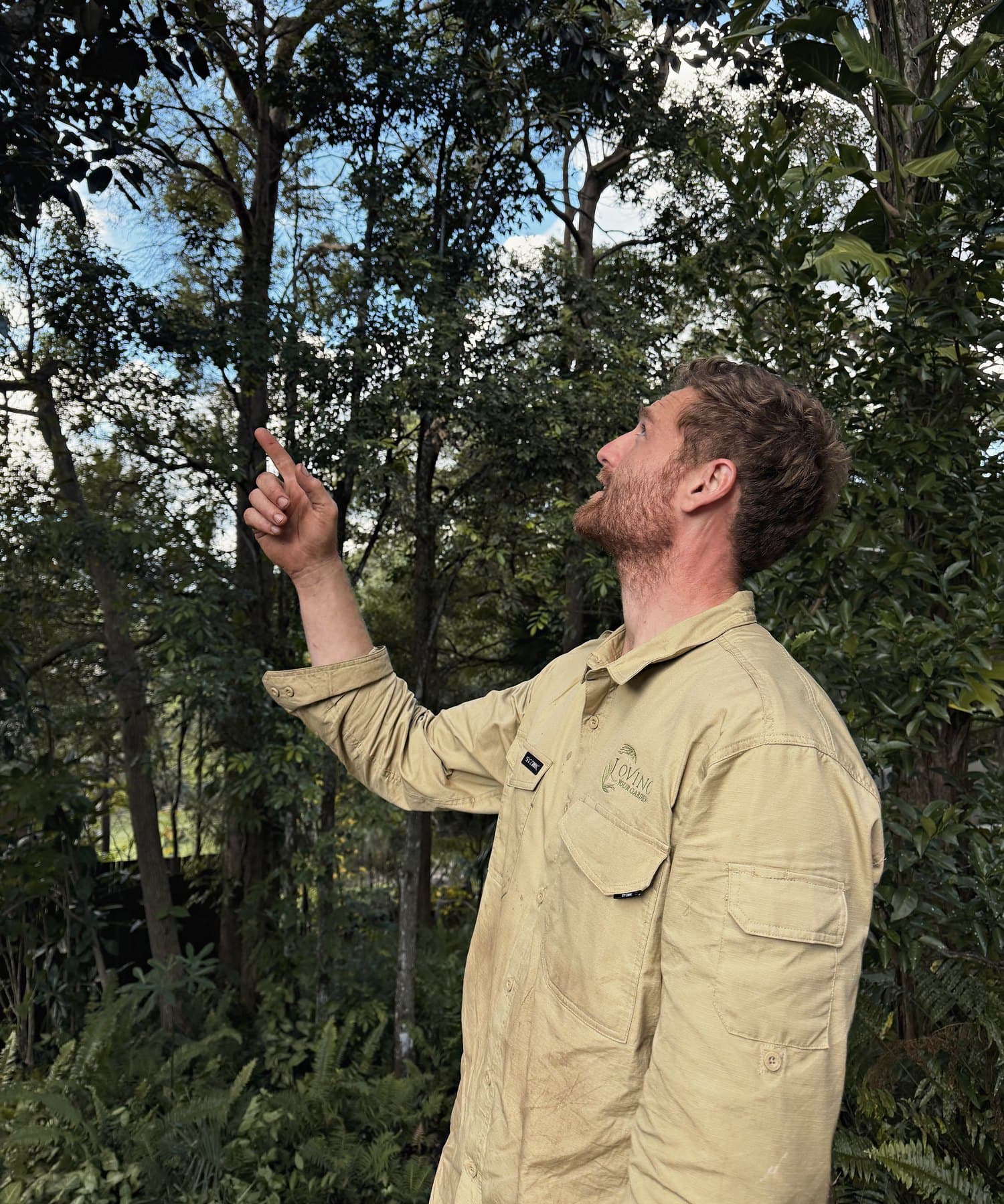 Chris Dowsett inspecting the canopy of a tree, reading a garden with an expert eye