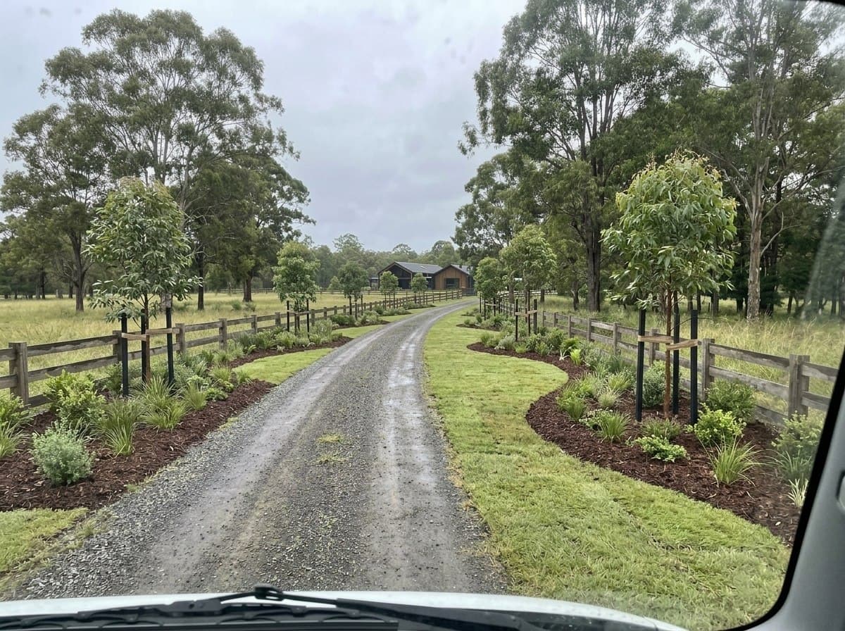 The same Doonan driveway lined with mass planted natives and feature trees