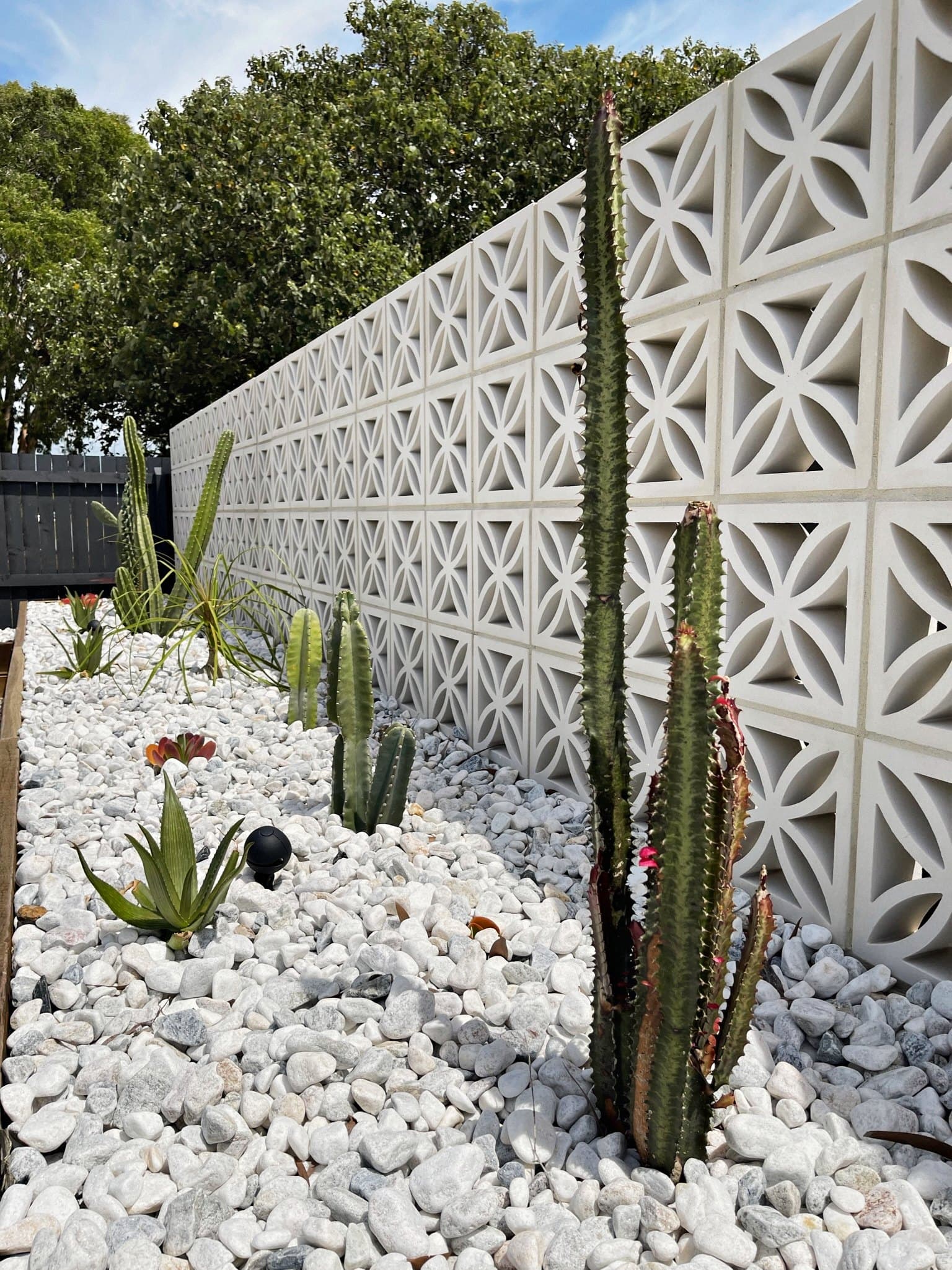 Sculptural garden with decorative screen, white pebbles and feature cactus
